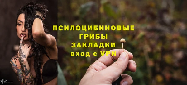 ешки Алзамай