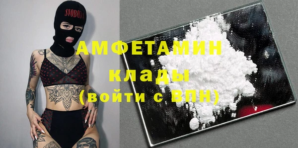 гидра Алексин