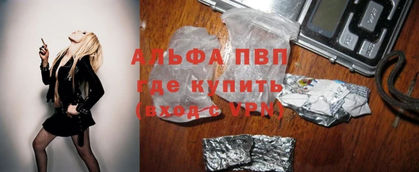 гидра Алексин