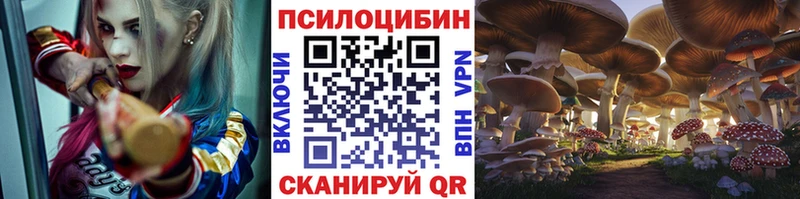 Галлюциногенные грибы GOLDEN TEACHER Верхоянск